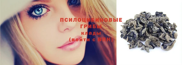 стафф Абинск
