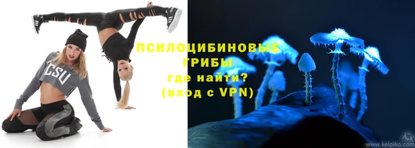 круглые Алзамай