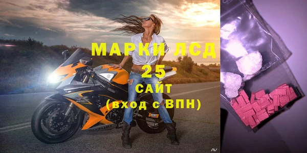 гашик Няндома